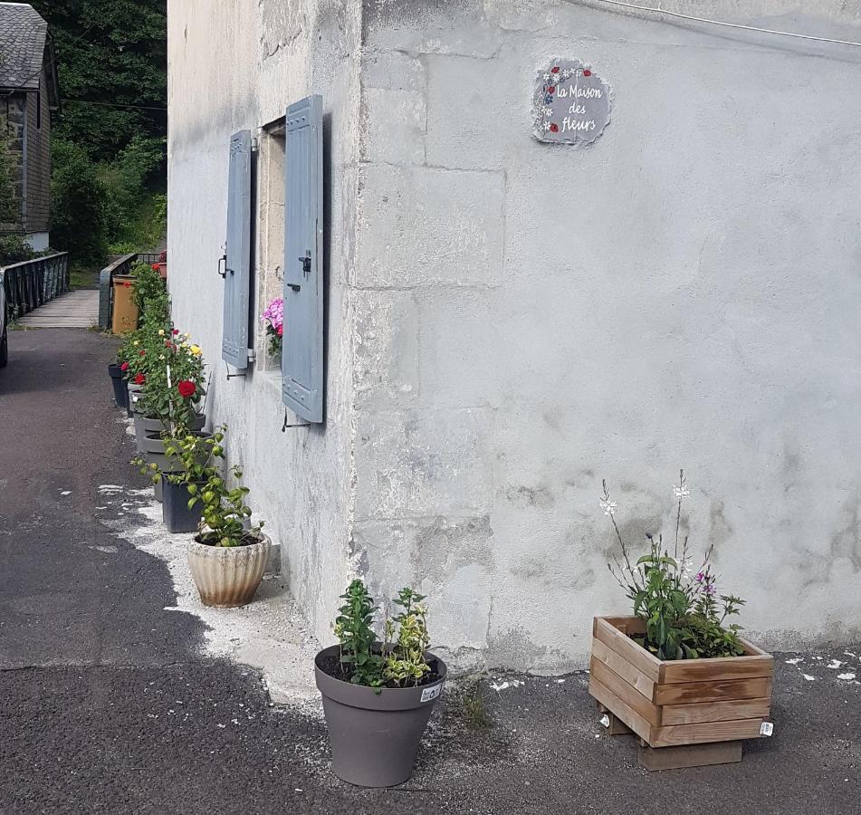 La Maison Des Fleurs Studio Le Mont-Dore Exterior photo